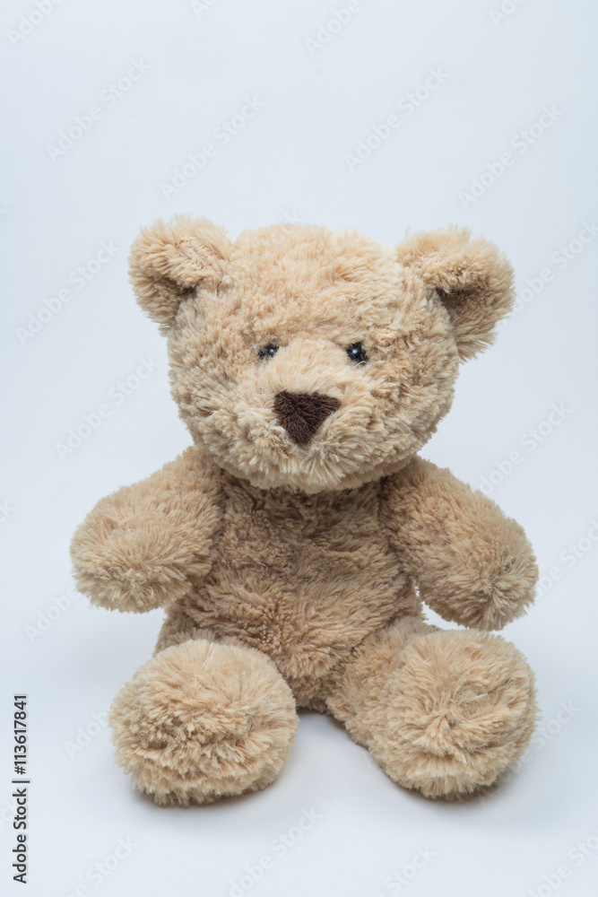 Obraz premium Teddy bear