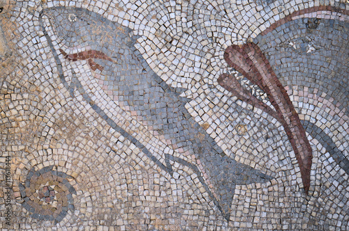 Antique Roman mosaic with sea life motifs located at the archaeological site of Milreu, in Estoi, Algarve, Portugal photo