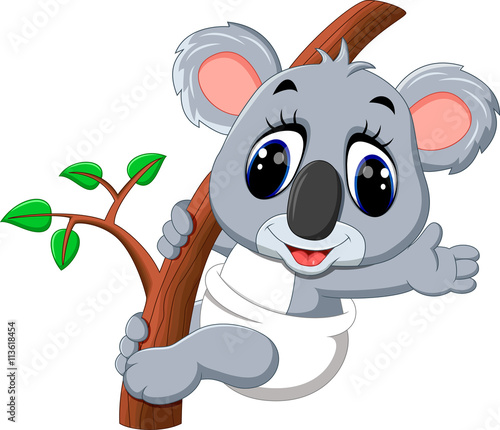 Cute koala cartoon