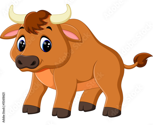 illustration of cute baby bull cartoon