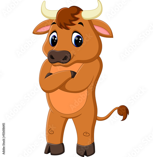 illustration of cute baby bull cartoon