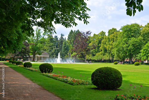 Fountain in the central park in Podebrady city, czech republic photo
