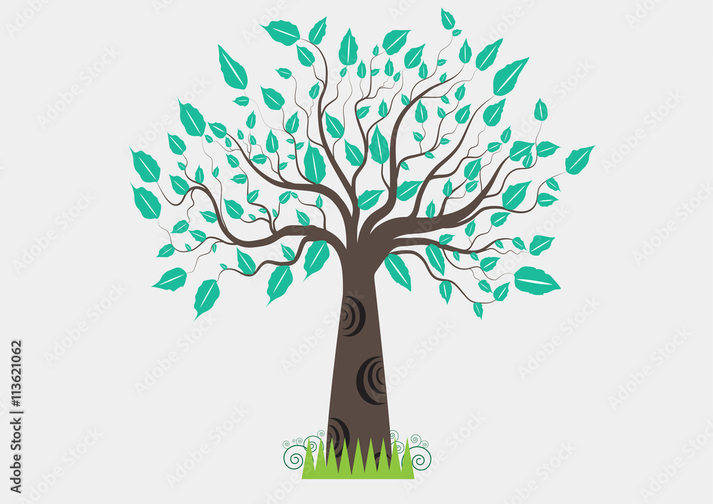 Fototapeta premium Tree leaves green on a white background.