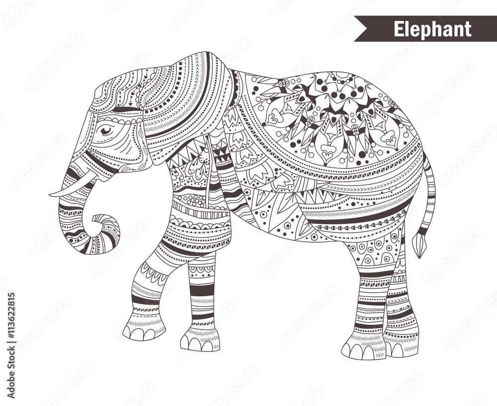 Obraz premium Elephant. coloring book