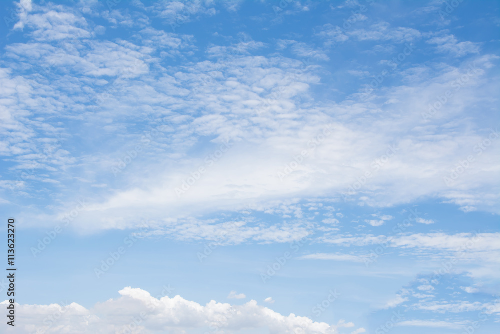 Fototapeta premium bright sky with white cloud background