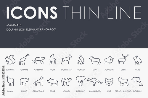 Mammals Thin Line Icons