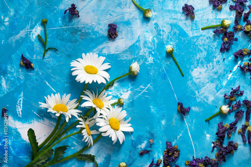 Fototapeta Naklejka Na Ścianę i Meble -  Summer Floral card with chamomile flower over blue vintage paint