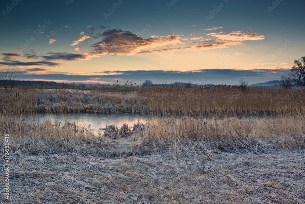 Fototapeta premium Lake at frosty morning