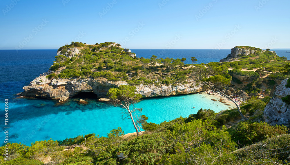 Naklejka premium Blick in eine azurblaue Badebucht mit Strand