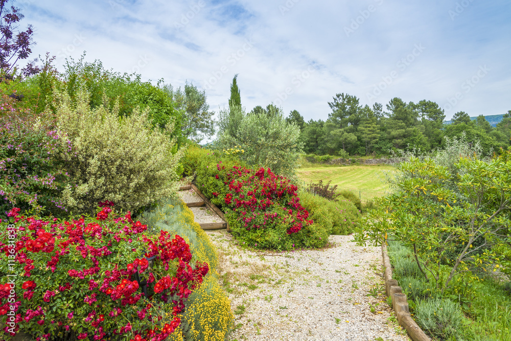 jardin à la campagne