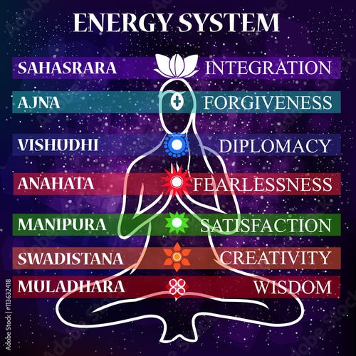 Energy scheme of human body