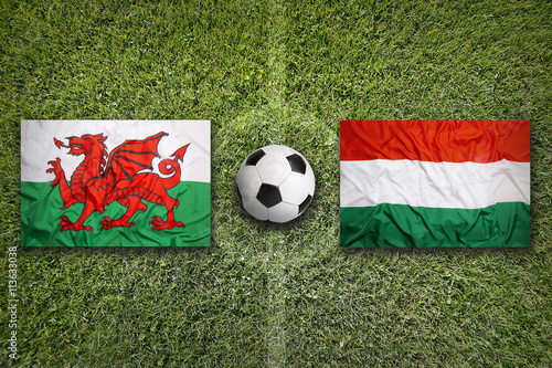 Wales vs. Hungary flags on soccer field
