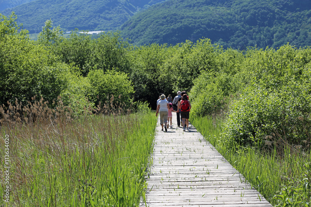 Famile spaziert durch das Hochmoor