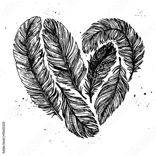 Hand drawn vector vintage illustration - Feathers in love. Ink a