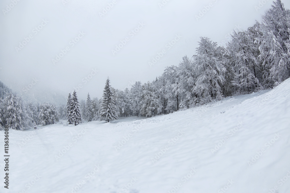 Beautiful winter landscape