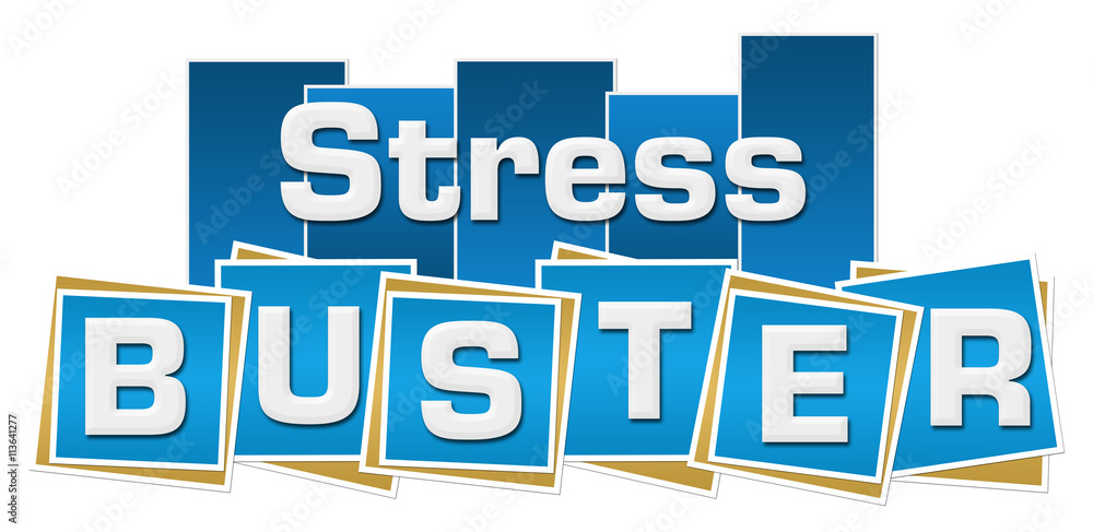 Stress Buster Blue Stripes Squares 