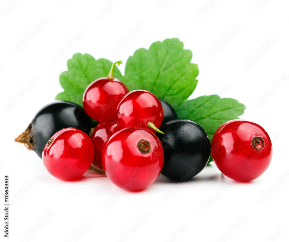 Red and black currants with leaf isolated on white Red and black currants with leaf isolated on white