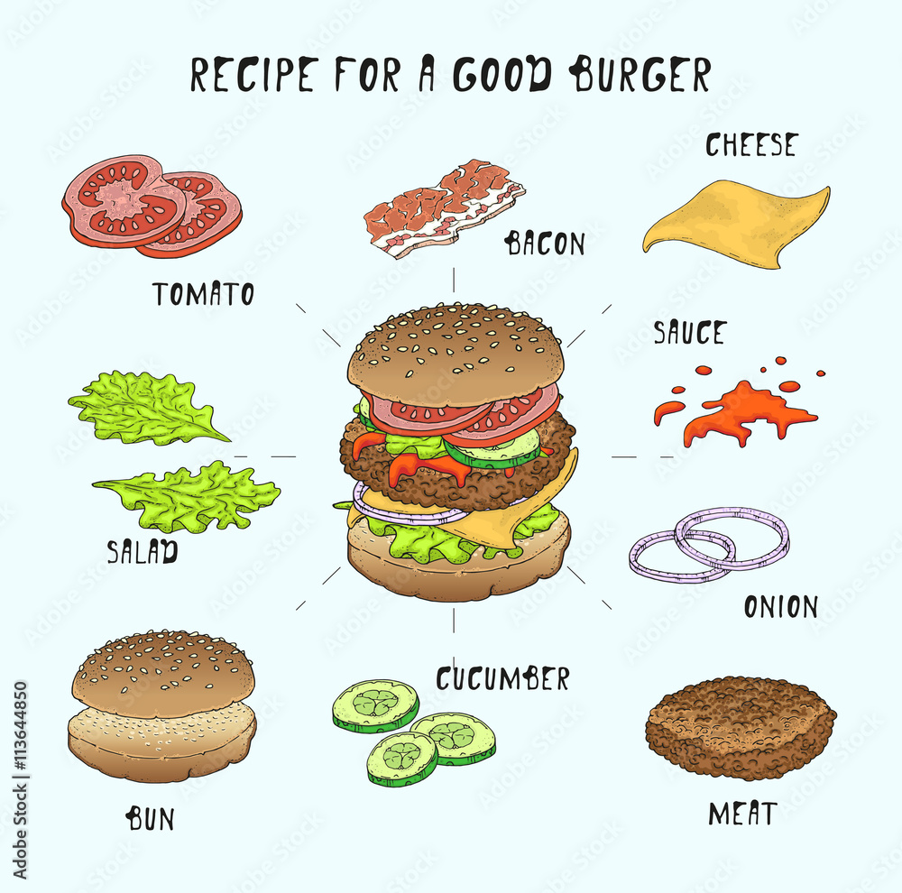 Burger. Recipe for a good burger. Ingredients. Restaurant brochure vector, menu design. Vector cafe template with hand-drawn graphic. Vector. Isolated. Doodle set.