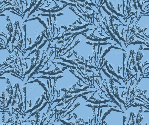Kelp seaweed blue texture on blue