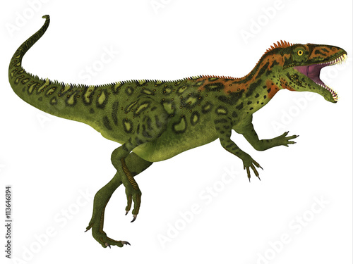 Masiakasaurus Dinosaur Body - Masiakasaurus was a theropod dinosaur that lived in Madagascar during the Cretaceous period.  © Catmando