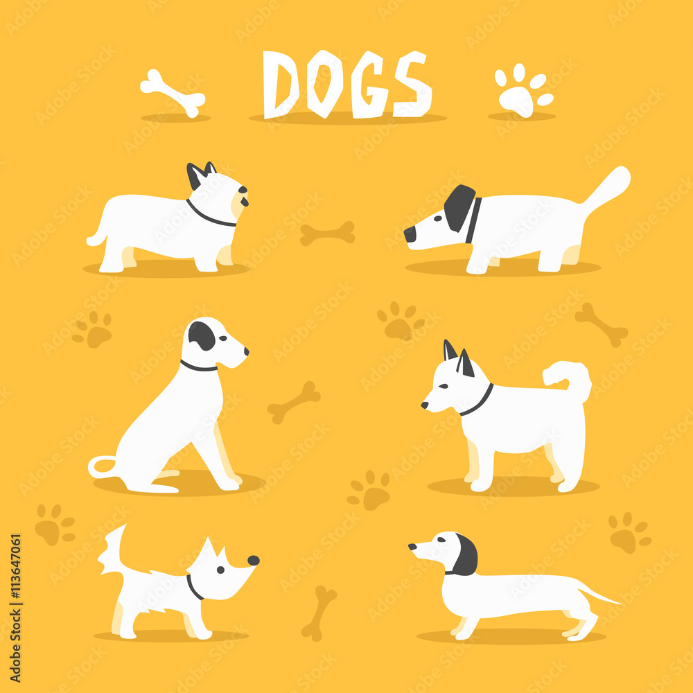 Set of dogs. Cartoon vector illustration. Vet clinic