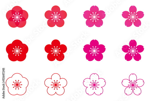 桜 梅 花 イラスト 素材 Stock Vector Adobe Stock 桜 梅 花 イラスト 素材 Stock Vector Adobe Stock
