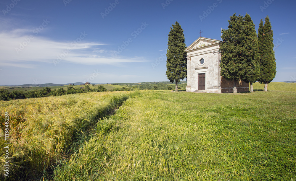 wheat field and old chapel in Tuscany in Italy