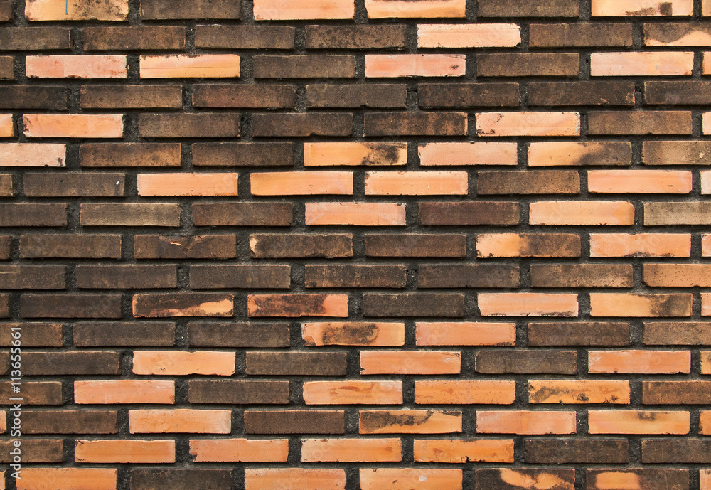 Fototapeta premium Background of brick wall