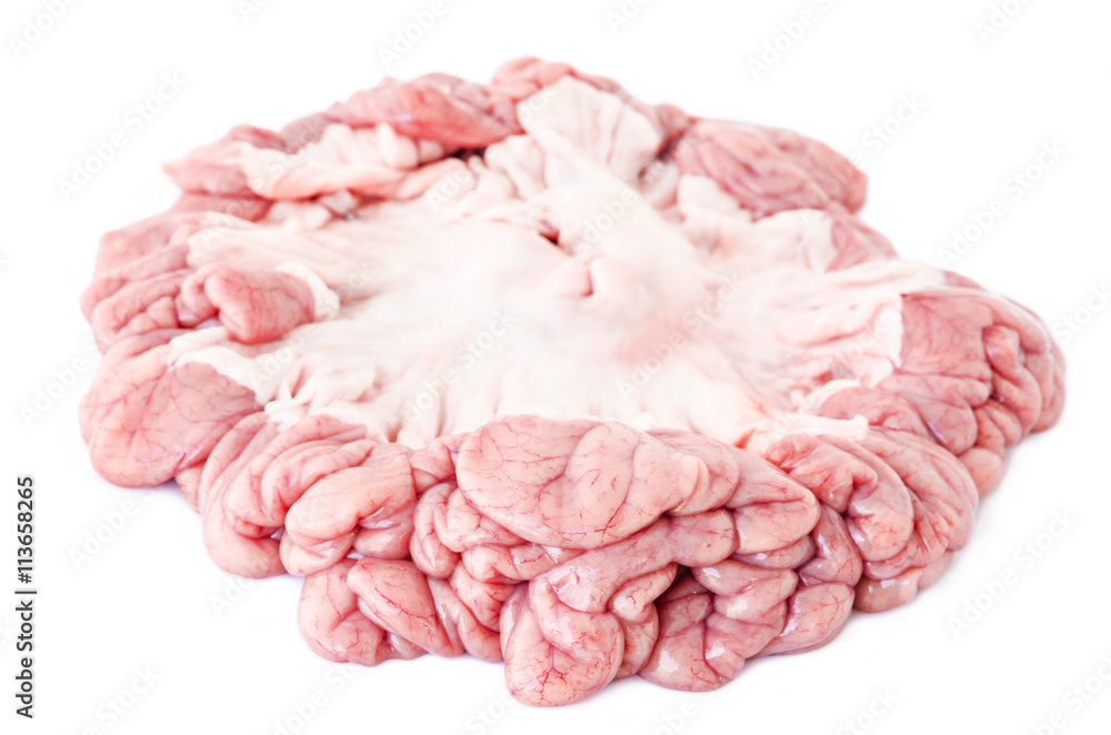 internal organs of pig. internal organs of pig.