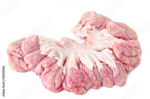 internal organs of pig.