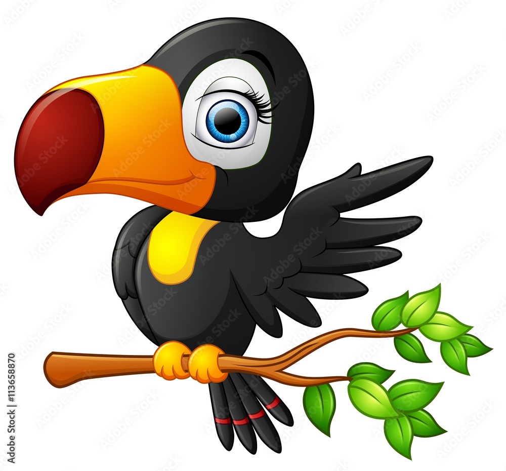 Naklejka premium Cute toucan bird cartoon