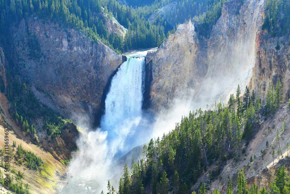 Fototapeta premium Lower Falls w Wielkim Kanionie Yellowstone, Wyoming