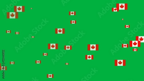 Isolated moving Canada heart flag particles on green background. Flags of  Canada. Canada national flags.