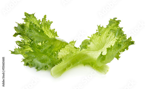 Tableau sur toile green frillies iceberg lettuce on white background
