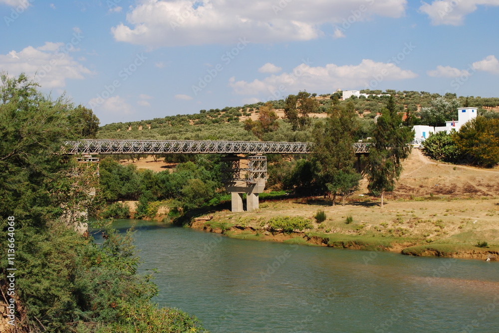 Mejerda's Bridge