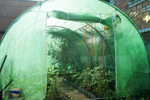 The greenhouse for cucumbers, tomatos and peppers on a garden site