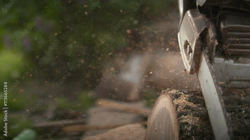 Cutting through wood with chainsaw in slow motion. Cutting through wood with chainsaw in slow motion.