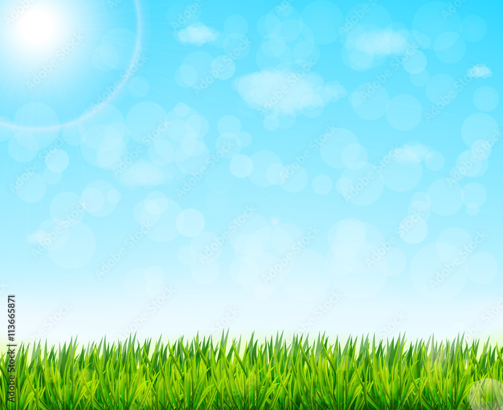 nature background with green grass and blue sky