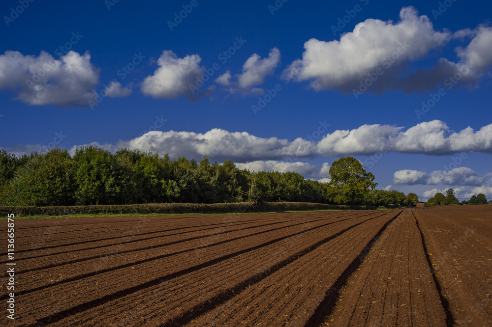 field agriculrural landscape UK