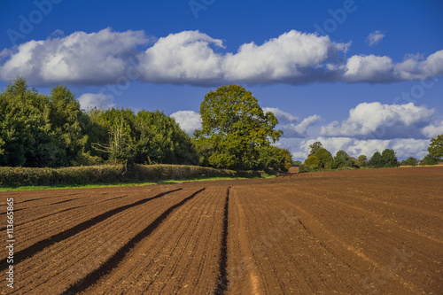 field agriculrural landscape UK photo