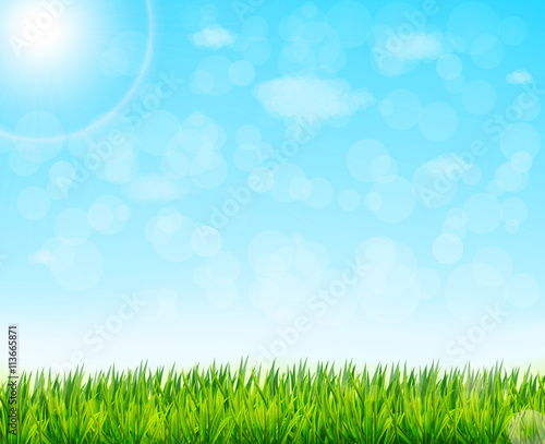 nature background with green grass and blue sky
