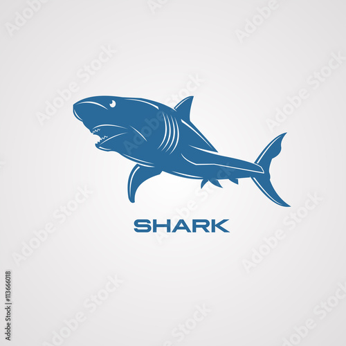 blue sharks