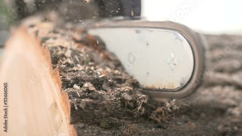 Wallpaper Mural Cutting through wood with chainsaw in slow motion. Torontodigital.ca