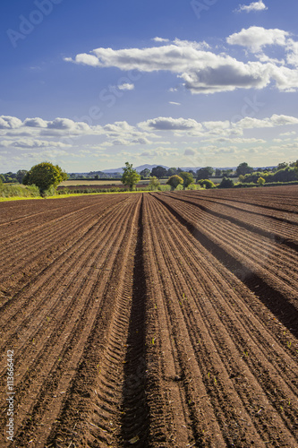 field agriculrural landscape UK