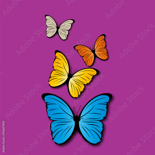 papillons
