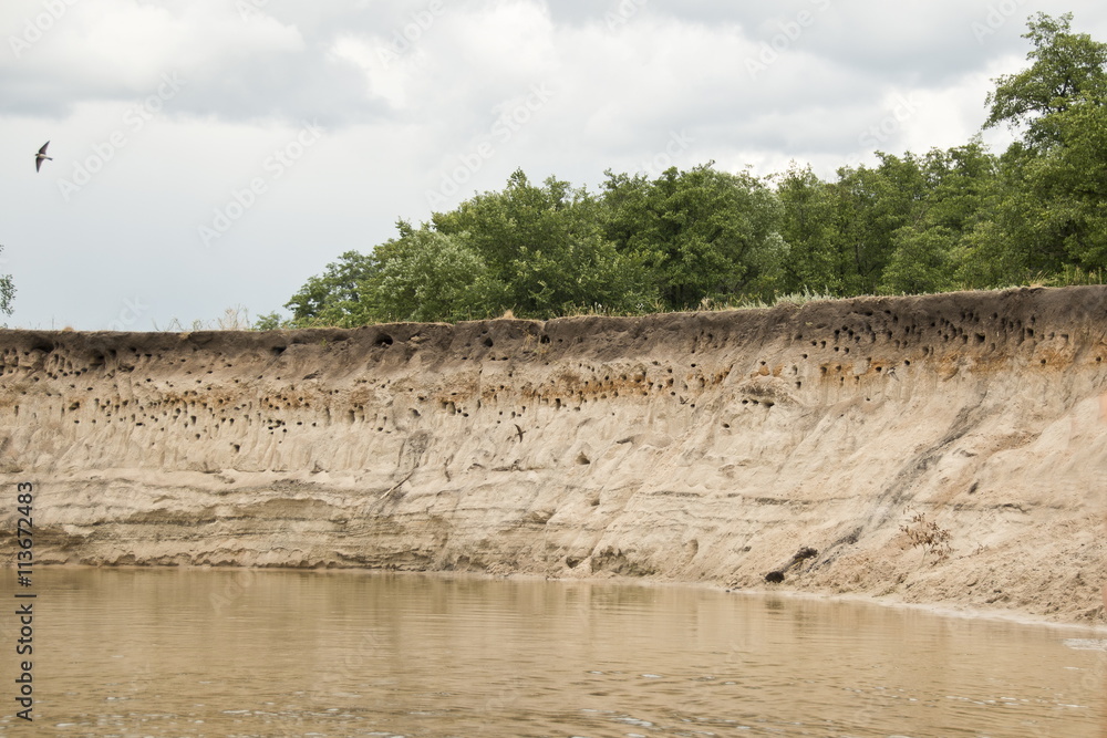 Sandy River cliff with swallow burrow holes, Russia. Sandy River cliff with swallow burrow holes, Russia.