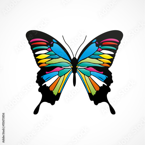 papillon