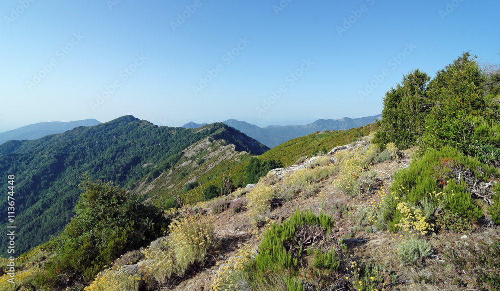 Naklejka premium chemin de crète en haute Corse