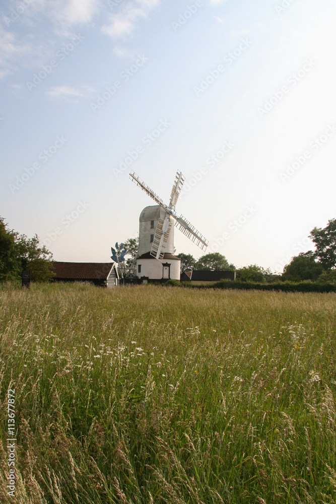 Fototapeta premium Saxtead mill with wild field in front