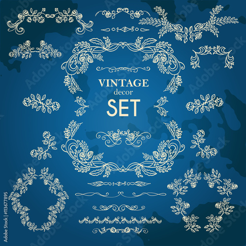 Set  vector hand drawn calligraphic element. The pattern of the branches of the roses. Blue background.Pattern border Floral ornament of leaves and flowers.Vintage style.